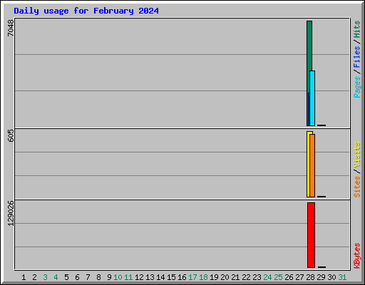 Daily usage for February 2024