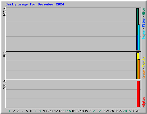 Daily usage for December 2024