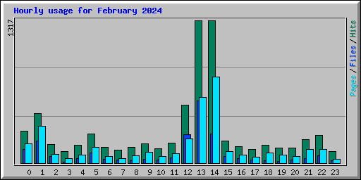 Hourly usage for February 2024