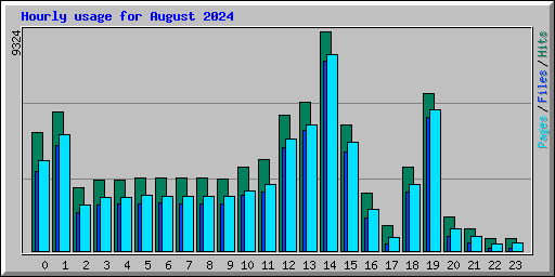 Hourly usage for August 2024