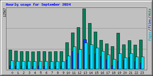 Hourly usage for September 2024