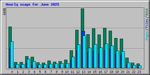 Hourly usage for June 2025